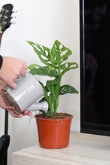 a girl watering the plant in front of the TV set