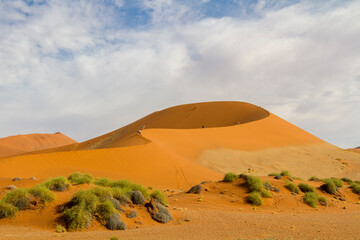 Fototapeta na wymiar Dünen Sossusvlei, Namibia