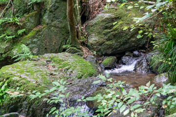 東京都西多摩郡奥多摩町、埼玉県飯能市にある棒ノ折山で登山する風景 Scenery of climbing at Mount Bouno-oreyama in Okutama Town, Nishitama County, Tokyo and Hanno City, Saitama Prefecture.