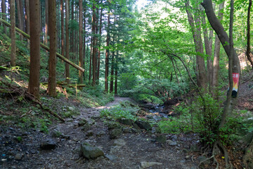 東京都西多摩郡奥多摩町、埼玉県飯能市にある棒ノ折山で登山する風景 Scenery of climbing at Mount Bouno-oreyama in Okutama Town, Nishitama County, Tokyo and Hanno City, Saitama Prefecture.