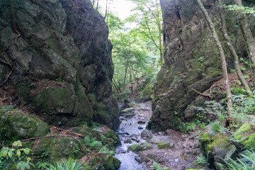 東京都西多摩郡奥多摩町、埼玉県飯能市にある棒ノ折山で登山する風景 Scenery of climbing at Mount Bouno-oreyama in Okutama Town, Nishitama County, Tokyo and Hanno City, Saitama Prefecture.