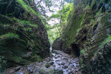 東京都西多摩郡奥多摩町、埼玉県飯能市にある棒ノ折山で登山する風景...