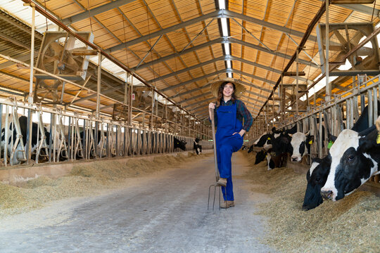 Young woman working at a cow farm