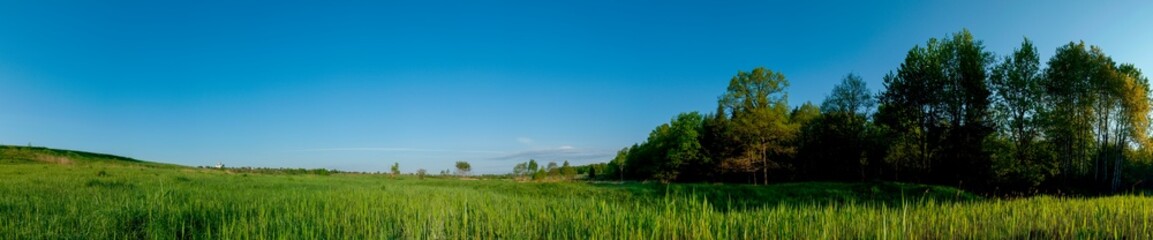 Spring forest and field on a background of blue sky