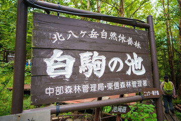 長野県南佐久郡の八ヶ岳のニュウの登山道の風景 A view of the trail at Nyu,...