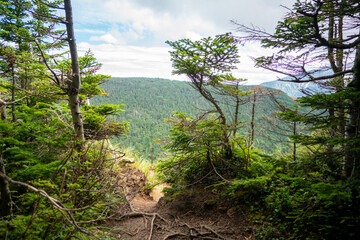 長野県南佐久郡の八ヶ岳のニュウの登山道の風景 A view of the trail at Nyu, Yatsugatake, Minamisaku-gun, Nagano Prefecture, Japan.