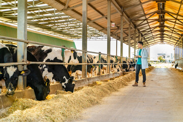 male veterinarian examining cow in a barn using a digital tablet © bulentbaris