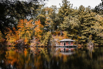 autumn at case mountain 