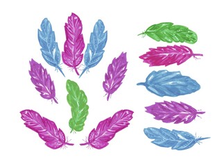 Bird feather, decorative multicolor feathers of different shapes on a white background for creativity and printing