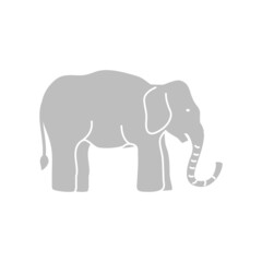 elephant pachyderm animal