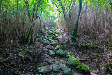 宮崎県えびの市、小林市、鹿児島県霧島市の韓国岳と大浪池を登山している風景 Scenery of climbing Mt. Kankoku and Onami Pond in Ebino City, Kobayashi City, Miyazaki Prefecture and Kirishima City, Kagoshima Prefecture.