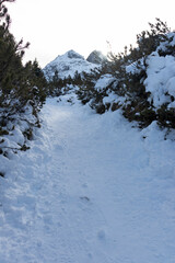 Winter landscape of Rila Mountain near Malyovitsa peak, Bulgaria