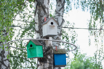 Birdhouses on the tree. Houses for forest birds.