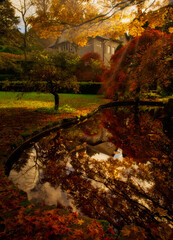 Tupare gardens in autumn VI