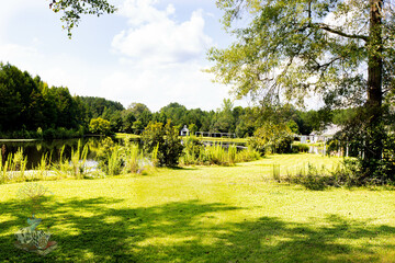 landscape with trees
