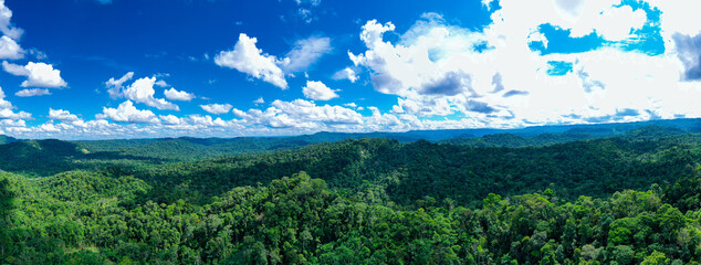 Aerial panorama, a lush background of a tropical forest with a bright sky and clouds casting their shadow over the green tree canopy