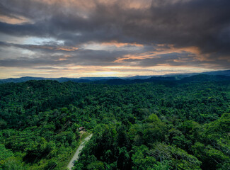Obraz premium Aerial panorama of a dirt road hidden by tropical forest with a dark sky during sunset