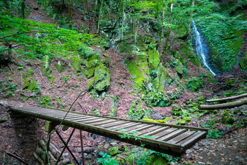 東京都西多摩郡奥多摩町の川苔山に登山している風景 Scenery of climbing Mt....