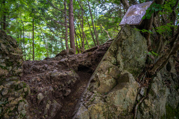Fototapeta premium 東京都西多摩郡奥多摩町の川苔山に登山している風景 Scenery of climbing Mt. Kawanori-yama in Okutama-cho, Nishitama-gun, Tokyo.