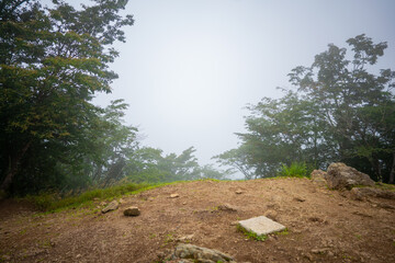 東京都西多摩郡奥多摩町の川苔山に登山している風景 Scenery of climbing Mt. Kawanori-yama in Okutama-cho, Nishitama-gun, Tokyo.