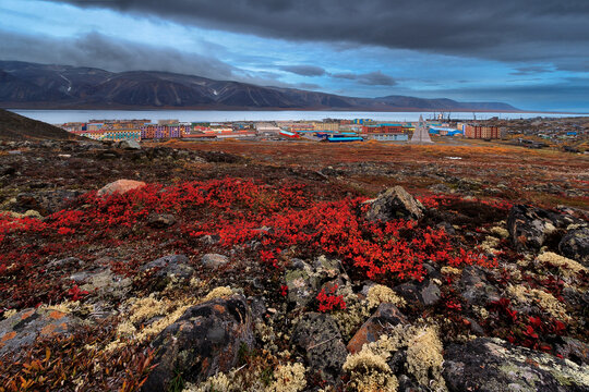 Beautiful autumn arctic landscape. View of the northern port town located in the tundra among the mountains on the shore of a sea bay. Egvekinot, Chukotka, Siberia, Far North of Russia. Polar region.