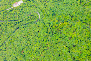 群馬県前橋市、桐生市にある赤城山、黒檜山、地蔵岳をドローンで撮影した空撮映像 Aerial footage of Mt. Akagi, Mt. Kurobi-san, and Mt. Jizo-dake in Maebashi and Kiryu, Gunma Prefecture, taken with a drone.