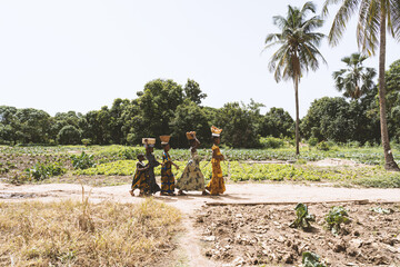 Five african girls with baskets on their head, on their way to the local village market to sell...
