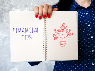 Conceptual photo about FINANCIAL TIPS with handwritten text.