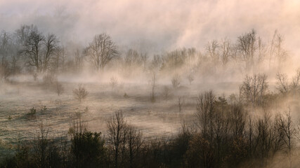 Naklejka na ściany i meble A frost covered landscape during a foggy April morning