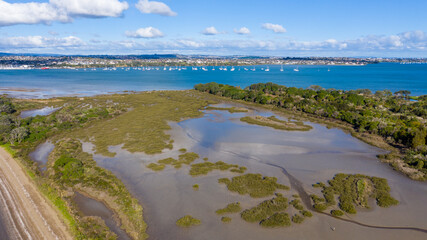 Fototapeta na wymiar Aerial View from the Beach, Green Trees, City Streets and Waves - Tahuna Torea, Bucklands Beach View in New Zealand - Auckland Area
