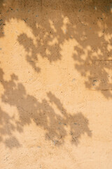The shadow of the tree leaves on the old beige wall.