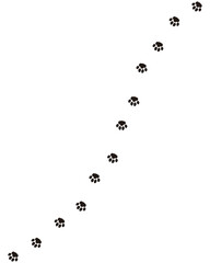 動物の足跡　猫のあしあと　猫の肉球 © meg_saiki