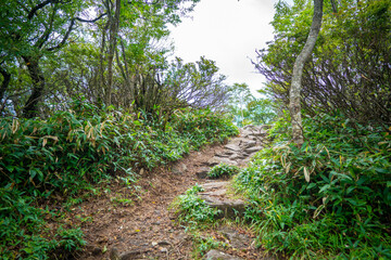 群馬県前橋市、桐生市にある赤城山、黒檜山、地蔵岳を登山している風景  Scenery of climbing Mt. Akagi, Mt. Kurobi-san and Mt. Jizo-dake in Maebashi and Kiryu, Gunma Prefecture. 