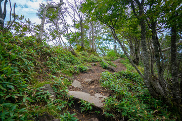 群馬県前橋市、桐生市にある赤城山、黒檜山、地蔵岳を登山している風景  Scenery of climbing Mt. Akagi, Mt. Kurobi-san and Mt. Jizo-dake in Maebashi and Kiryu, Gunma Prefecture. 