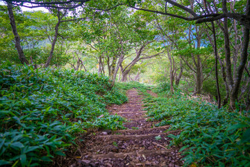 群馬県前橋市、桐生市にある赤城山、黒檜山、地蔵岳を登山している風景  Scenery of climbing Mt. Akagi, Mt. Kurobi-san and Mt. Jizo-dake in Maebashi and Kiryu, Gunma Prefecture. 