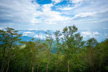 群馬県前橋市、桐生市にある赤城山、黒檜山、地蔵岳を登山している風景  Scenery of climbing Mt. Akagi, Mt. Kurobi-san and Mt. Jizo-dake in Maebashi and Kiryu, Gunma Prefecture. 