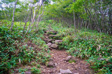 群馬県前橋市、桐生市にある赤城山、黒檜山、地蔵岳を登山している風景  Scenery of climbing Mt. Akagi, Mt. Kurobi-san and Mt. Jizo-dake in Maebashi and Kiryu, Gunma Prefecture. 