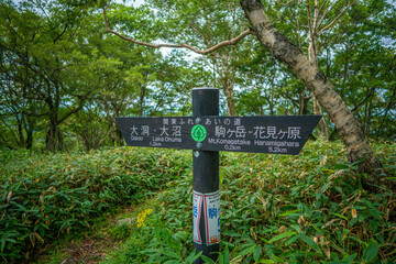 群馬県前橋市、桐生市にある赤城山、黒檜山、地蔵岳を登山している風景  Scenery of climbing Mt. Akagi, Mt. Kurobi-san and Mt. Jizo-dake in Maebashi and Kiryu, Gunma Prefecture. 