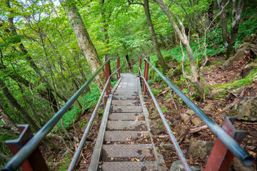 Fototapeta premium 群馬県前橋市、桐生市にある赤城山、黒檜山、地蔵岳を登山している風景 Scenery of climbing Mt. Akagi, Mt. Kurobi-san and Mt. Jizo-dake in Maebashi and Kiryu, Gunma Prefecture. 
