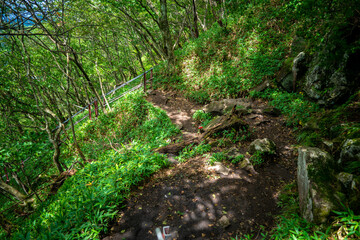 Obraz premium 群馬県前橋市、桐生市にある赤城山、黒檜山、地蔵岳を登山している風景 Scenery of climbing Mt. Akagi, Mt. Kurobi-san and Mt. Jizo-dake in Maebashi and Kiryu, Gunma Prefecture. 