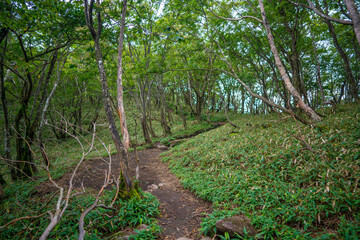 群馬県前橋市、桐生市にある赤城山、黒檜山、地蔵岳を登山している風景  Scenery of climbing Mt. Akagi, Mt. Kurobi-san and Mt. Jizo-dake in Maebashi and Kiryu, Gunma Prefecture. 