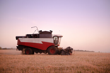 Fototapeta premium Harvester in a yellow field. The bread is being harvested, wheat is being harvested.