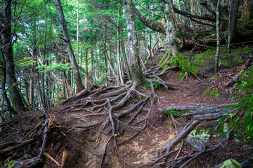 栃木県日光市の男体山に登山している風景  A view of climbing Mt. Ottai in Nikko City, Tochigi Prefecture. 