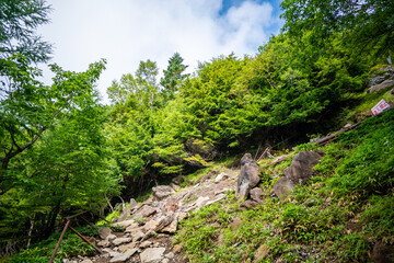 Fototapeta na wymiar 栃木県日光市の男体山に登山している風景 A view of climbing Mt. Ottai in Nikko City, Tochigi Prefecture. 