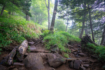 栃木県日光市の男体山に登山している風景  A view of climbing Mt. Ottai in Nikko City, Tochigi Prefecture. 