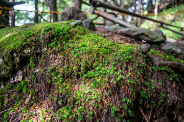 栃木県日光市の男体山に登山している風景  A view of climbing Mt. Ottai in Nikko City, Tochigi Prefecture. 