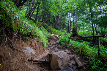 栃木県日光市の男体山に登山している風景  A view of climbing Mt. Ottai in Nikko City, Tochigi Prefecture. 