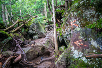 栃木県日光市の男体山に登山している風景  A view of climbing Mt. Ottai in Nikko City, Tochigi Prefecture. 