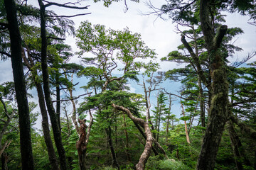 栃木県日光市の男体山に登山している風景  A view of climbing Mt. Ottai in Nikko City, Tochigi Prefecture. 