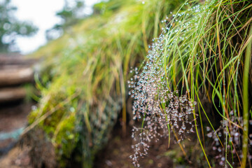 栃木県日光市の男体山に登山している風景  A view of climbing Mt. Ottai in Nikko City, Tochigi Prefecture. 
